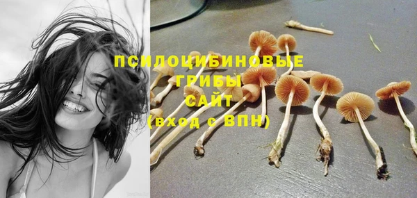 герыч Арсеньев